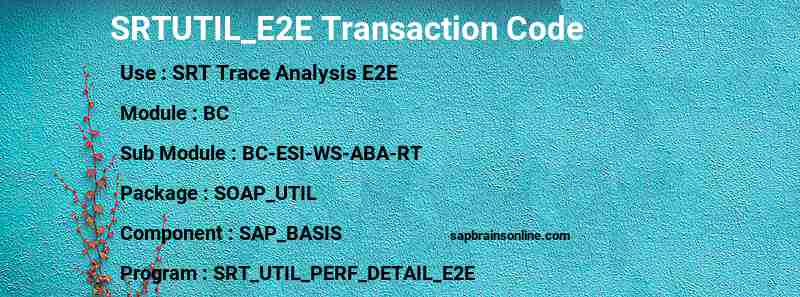 SAP SRTUTIL_E2E transaction code