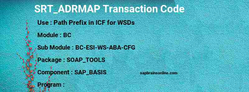 SAP SRT_ADRMAP transaction code