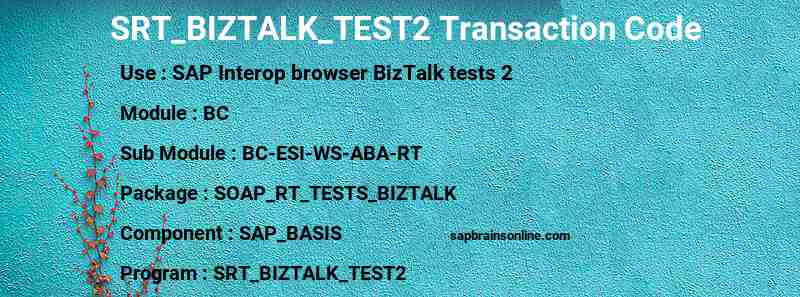 SAP SRT_BIZTALK_TEST2 transaction code