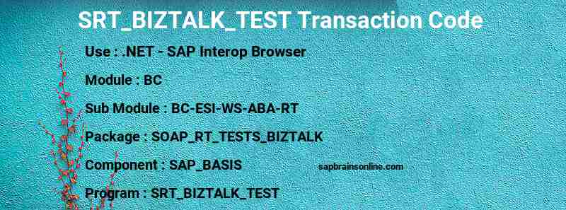 SAP SRT_BIZTALK_TEST transaction code