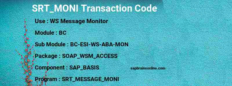 SAP SRT_MONI transaction code