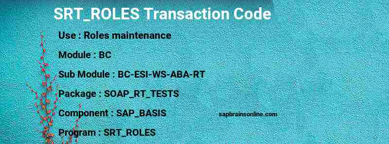 SAP SRT_ROLES transaction code
