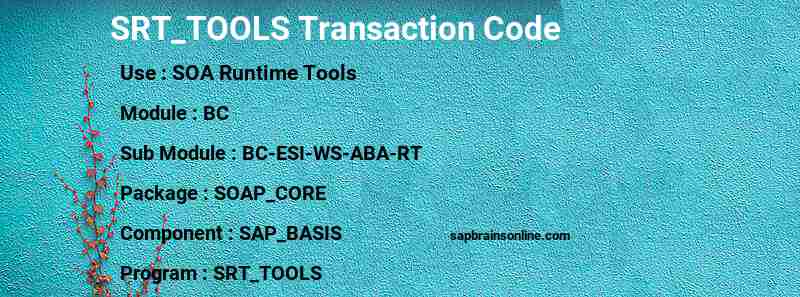 SAP SRT_TOOLS transaction code