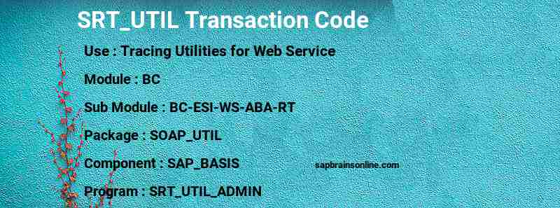 SAP SRT_UTIL transaction code