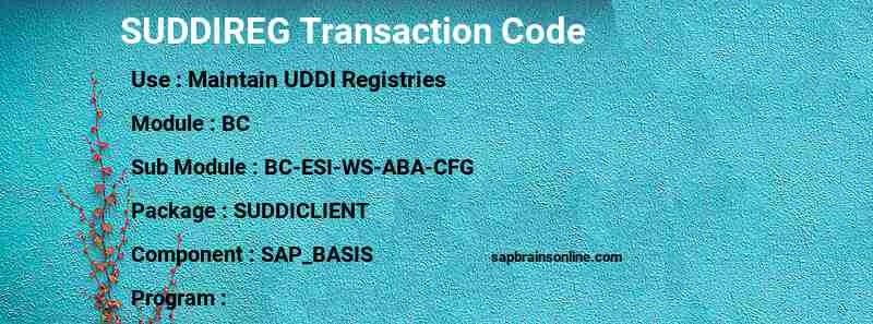 SAP SUDDIREG transaction code