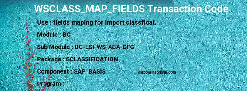 SAP WSCLASS_MAP_FIELDS transaction code