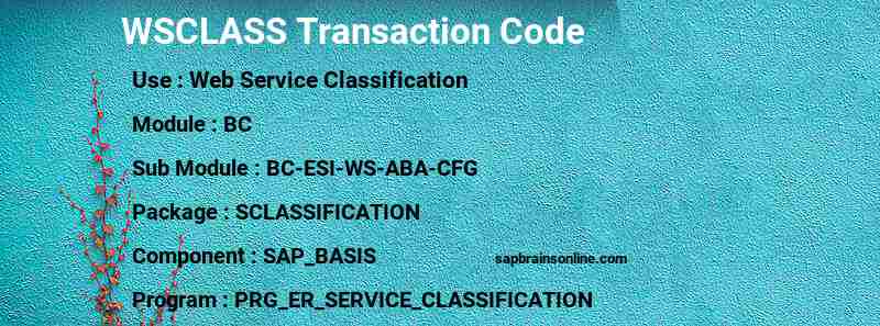 SAP WSCLASS transaction code