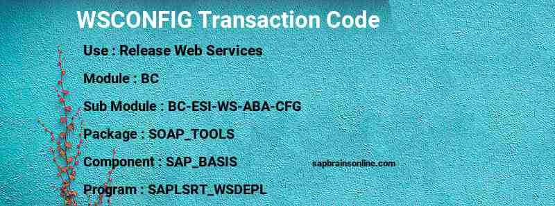 SAP WSCONFIG transaction code