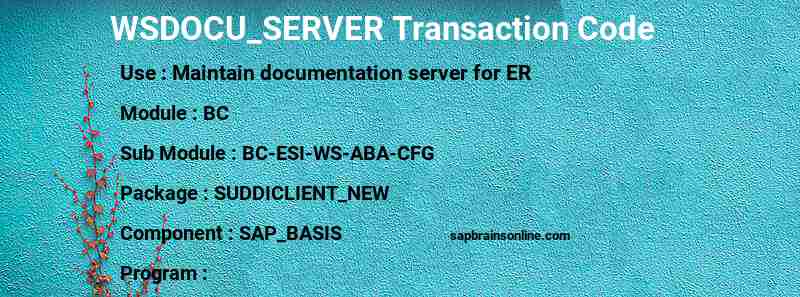SAP WSDOCU_SERVER transaction code