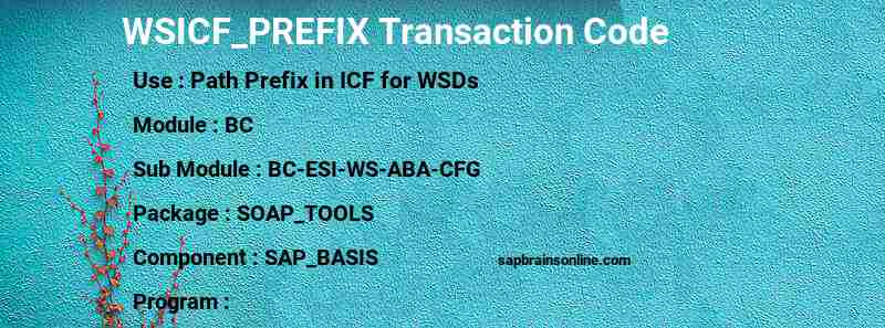 SAP WSICF_PREFIX transaction code
