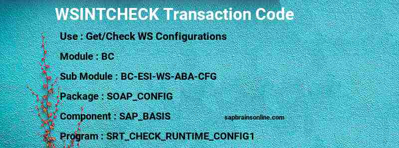 SAP WSINTCHECK transaction code