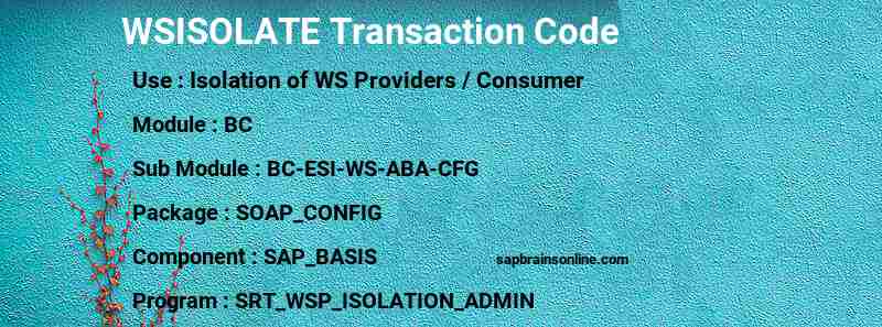 SAP WSISOLATE transaction code