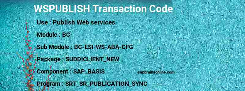 SAP WSPUBLISH transaction code