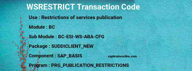 SAP WSRESTRICT transaction code