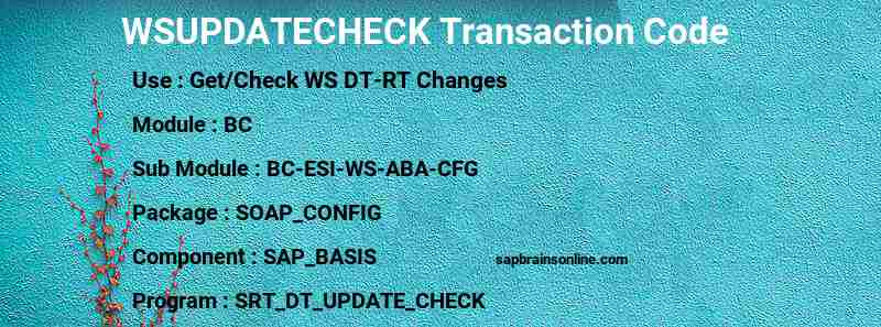 SAP WSUPDATECHECK transaction code