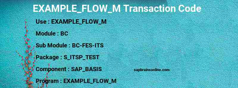 SAP EXAMPLE_FLOW_M transaction code