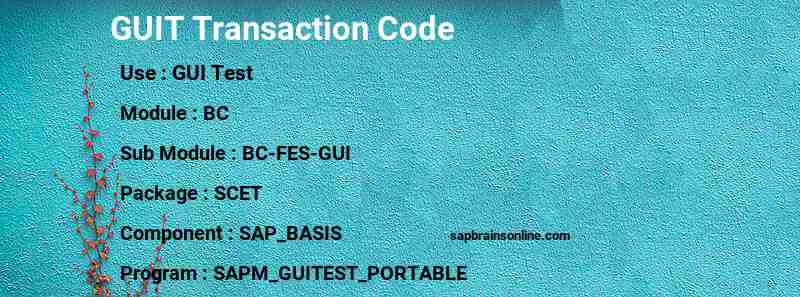SAP GUIT transaction code