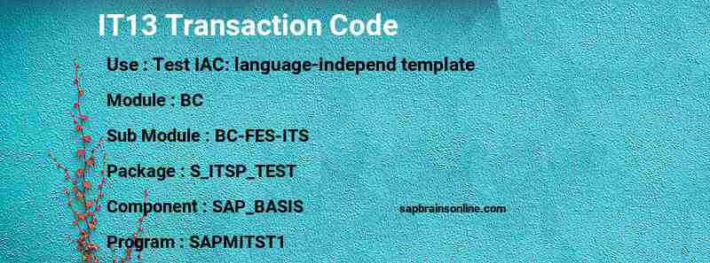 SAP IT13 transaction code