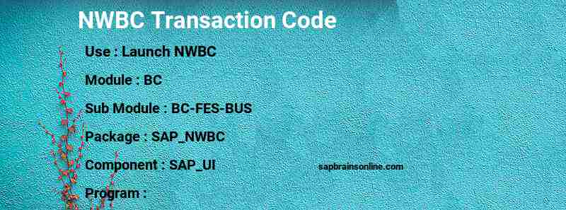 SAP NWBC transaction code
