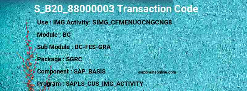 SAP S_B20_88000003 transaction code