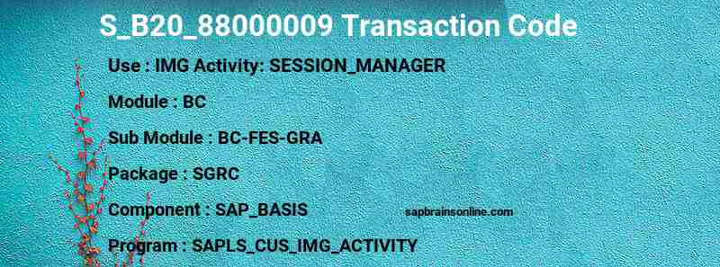 SAP S_B20_88000009 transaction code