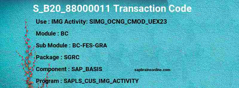 SAP S_B20_88000011 transaction code