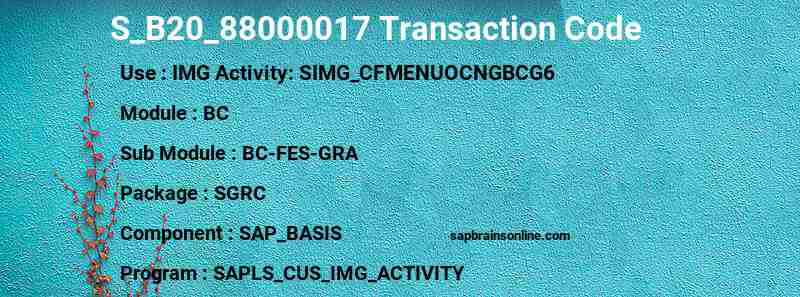 SAP S_B20_88000017 transaction code