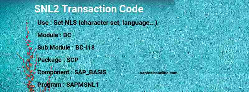 SAP SNL2 transaction code