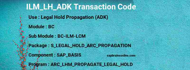 SAP ILM_LH_ADK transaction code