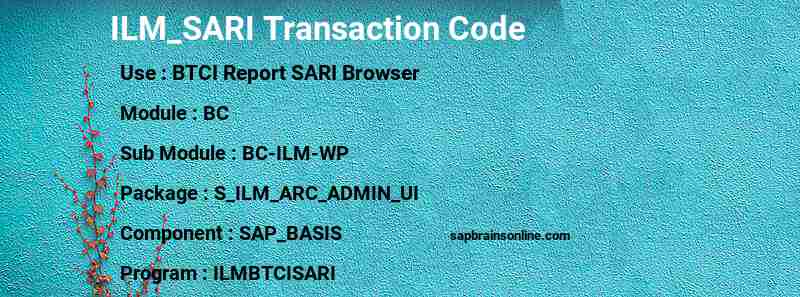SAP ILM_SARI transaction code