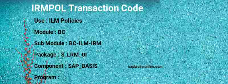SAP IRMPOL transaction code