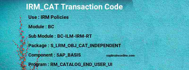 SAP IRM_CAT transaction code