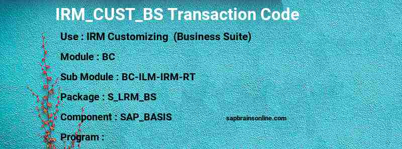 SAP IRM_CUST_BS transaction code