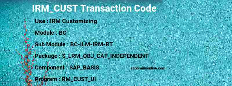 SAP IRM_CUST transaction code