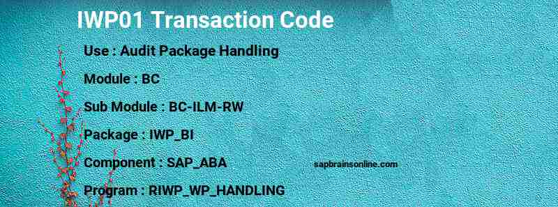 SAP IWP01 transaction code