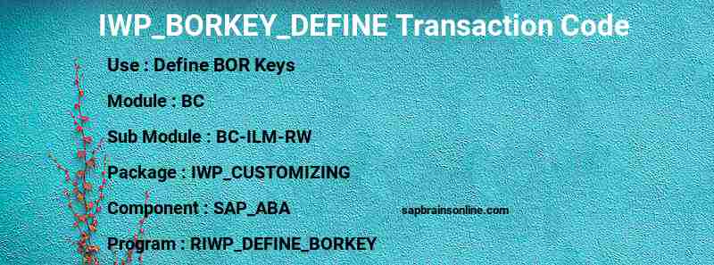 SAP IWP_BORKEY_DEFINE transaction code