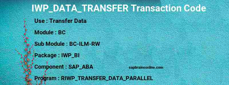 SAP IWP_DATA_TRANSFER transaction code