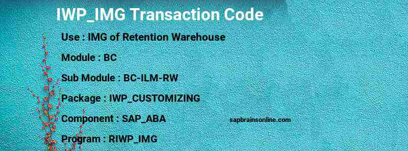 SAP IWP_IMG transaction code