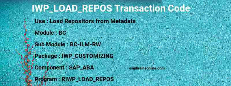 SAP IWP_LOAD_REPOS transaction code