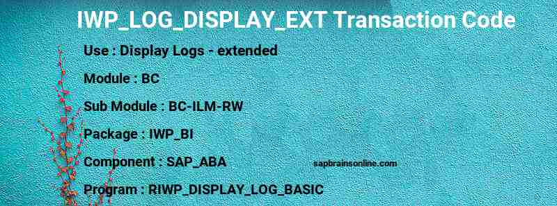 SAP IWP_LOG_DISPLAY_EXT transaction code