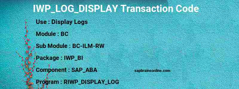 SAP IWP_LOG_DISPLAY transaction code