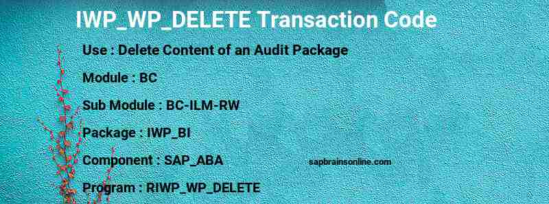 SAP IWP_WP_DELETE transaction code