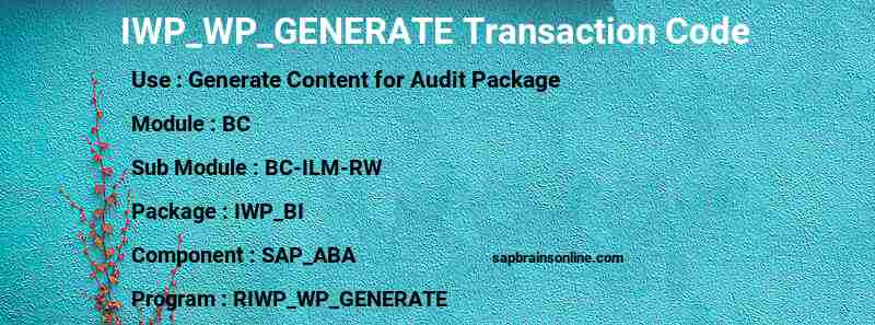 SAP IWP_WP_GENERATE transaction code