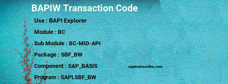 SAP BAPIW transaction code