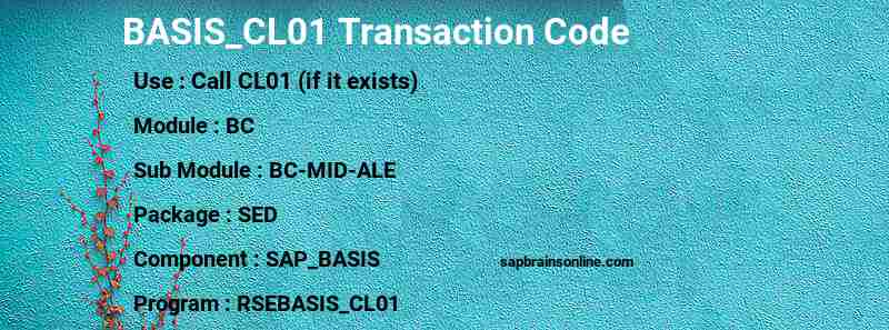 SAP BASIS_CL01 transaction code