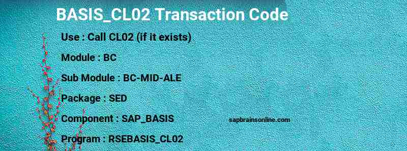 SAP BASIS_CL02 transaction code