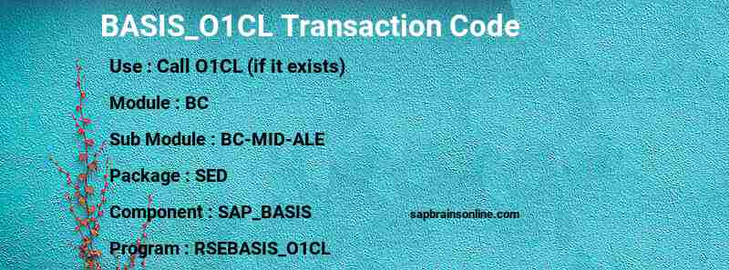 SAP BASIS_O1CL transaction code