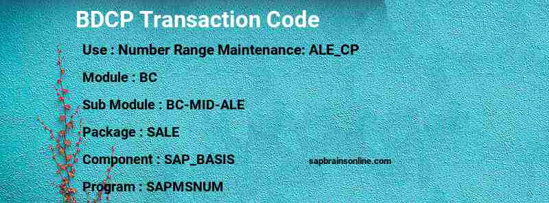 SAP BDCP transaction code