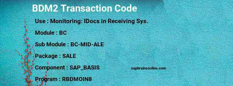SAP BDM2 transaction code