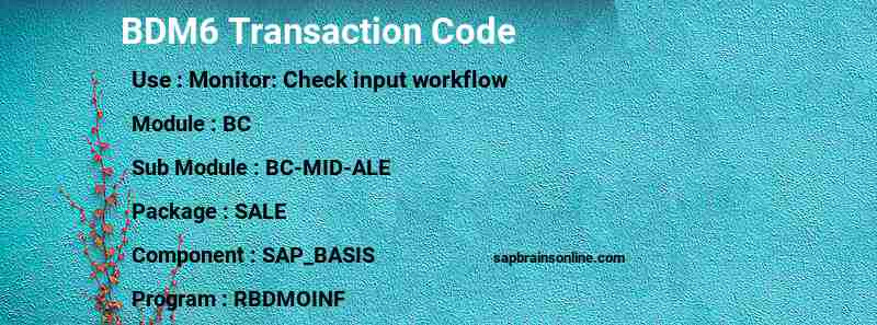 SAP BDM6 transaction code